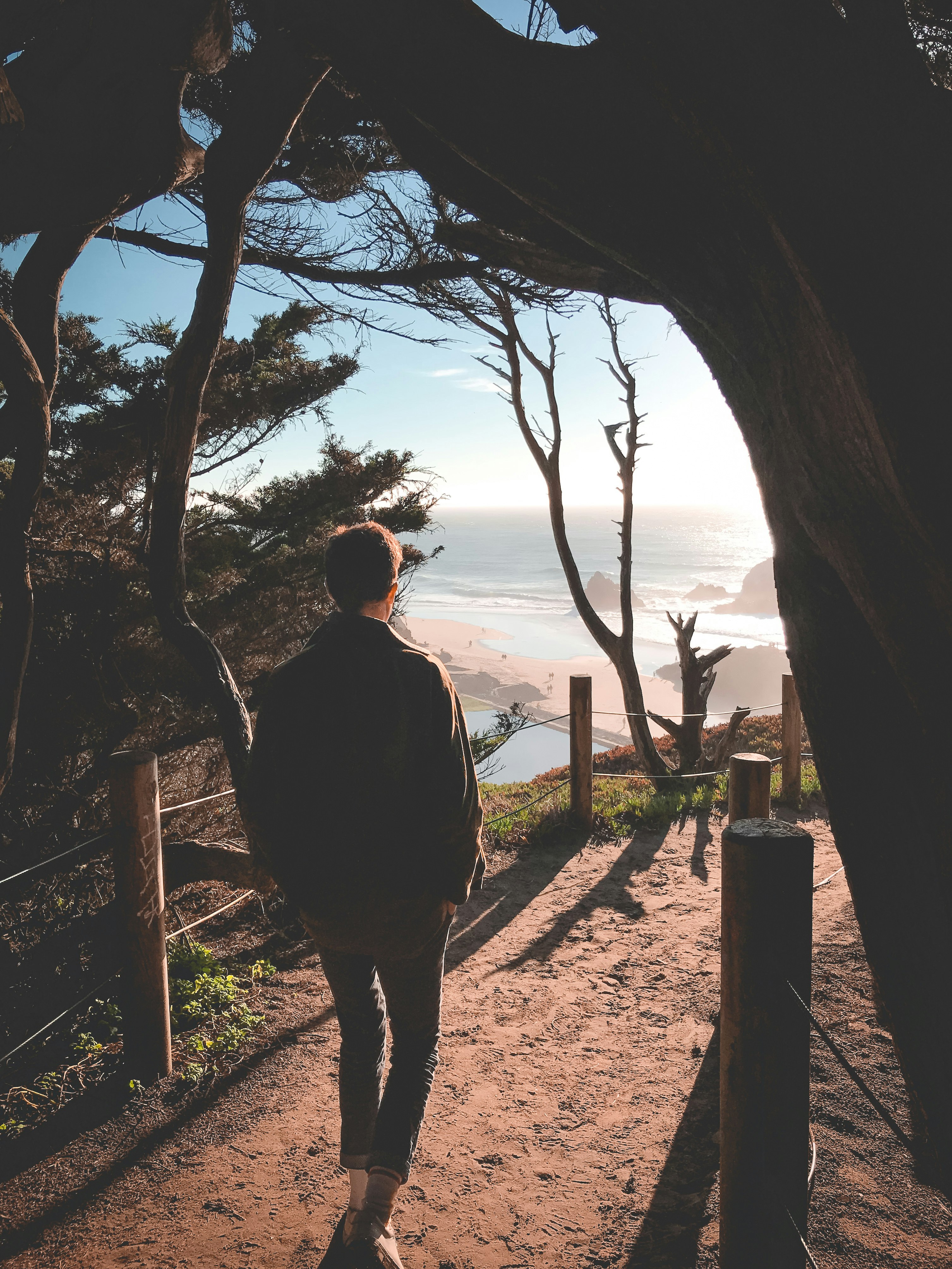 man walking beside tree